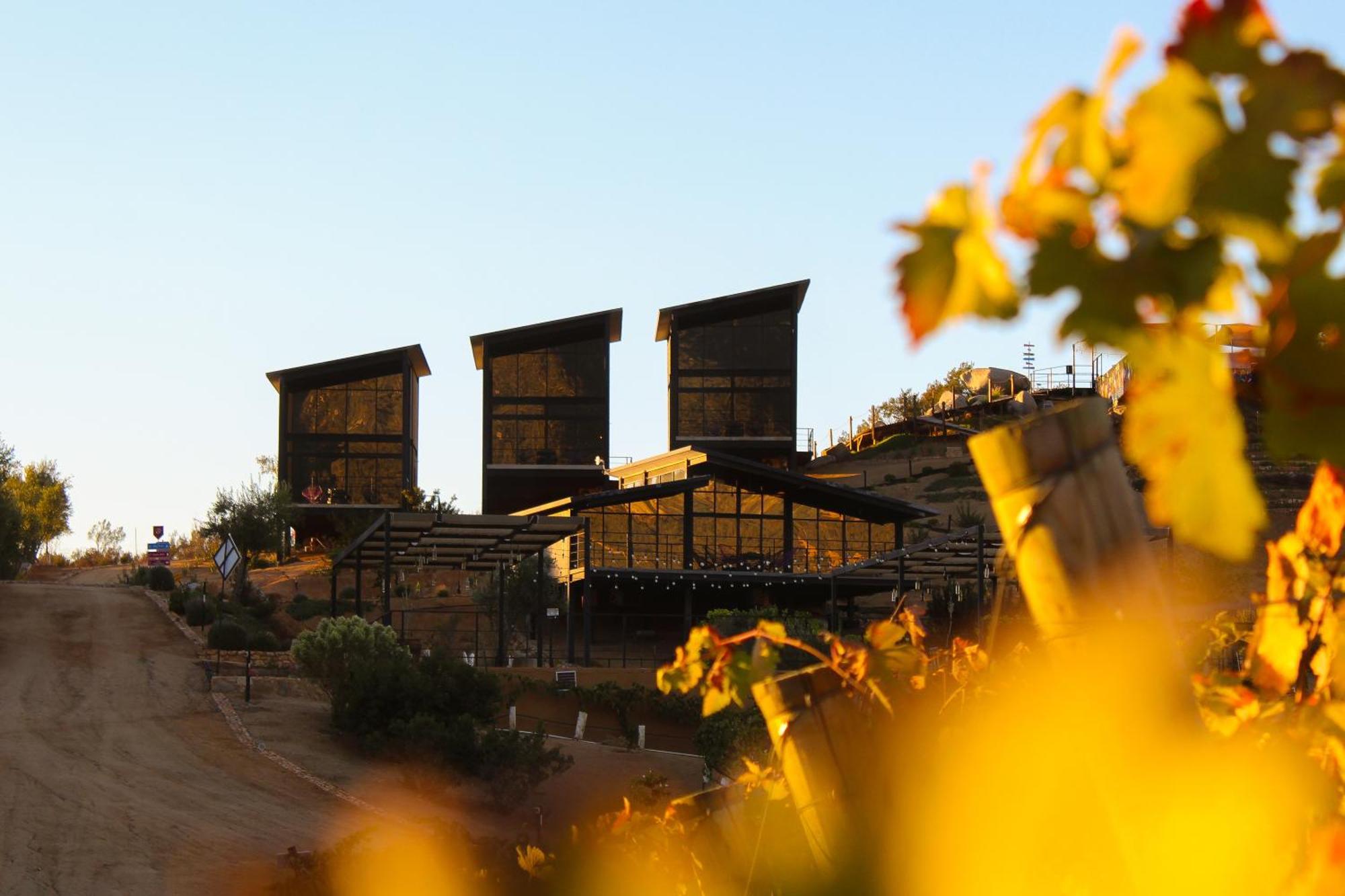 Origen75 Loft - Villas - Skypool - Vinedo, Valle De Guadalupe Exteriör bild